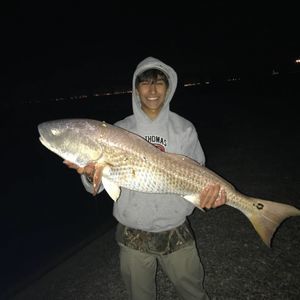 Meet your Posher, Mason